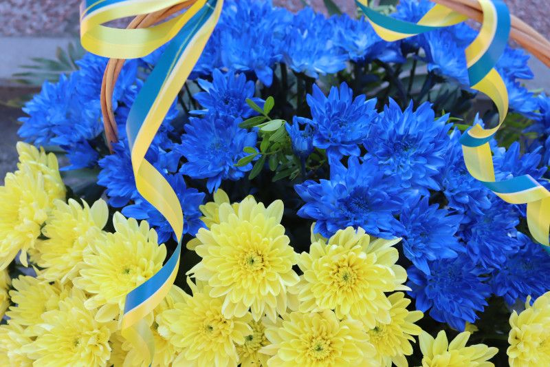 У кошику - сині та жовті хризантеми. На них звисає синьо-жовта стрічка.